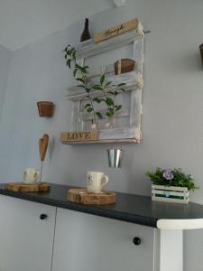 ImagenCoqueto estudio en Maliaño situado en calle semipeatonal 3