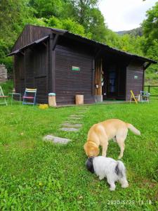 ImagenHotel Cruells 5