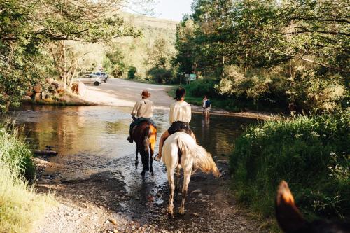 ImagenMas Sant Marc 2