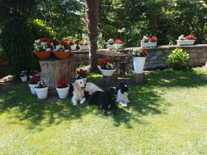 ImagenHotel El Torrejón 4