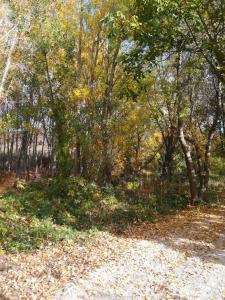 ImagenCasa Rural Los Lilos 5