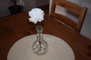 ImagenTourist Paradise 4