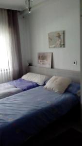 ImagenAlojamiento en Oviedo 5