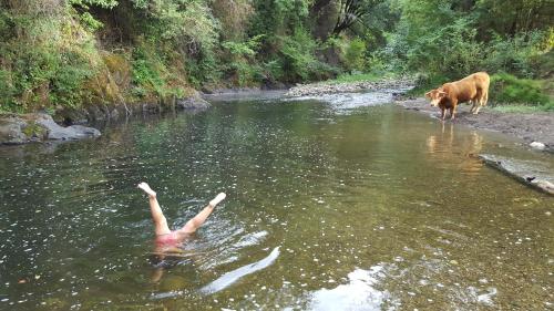 ImagenEl Chalet de la Poza - Río, barbacoa, Wifi, zona de trabajo, vistas. 1