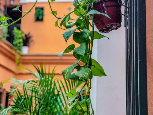 ImagenAlojamiento Rural Flamingo 2