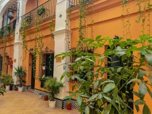 ImagenAlojamiento Rural Flamingo 3