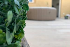 ImagenCasa del Arbol en el Delta del Ebro 3