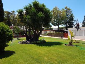 ImagenHotel Dunas Puerto 6