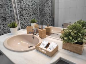 ImagenCatedral Centro Histórico 6