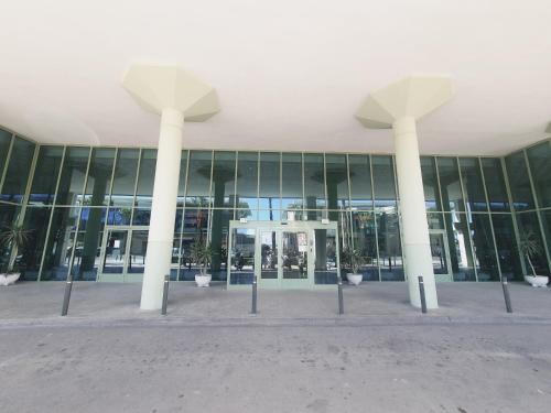 ImagenPatacona Green Holiday 1