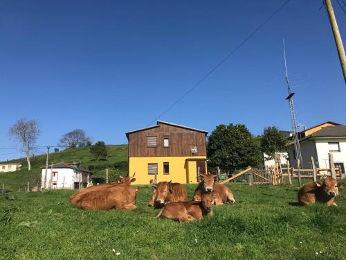 ImagenEl refugio de Isol, la fontarica 1