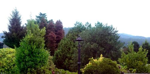 ImagenSlow House y La cabaña de Miss Slower 1