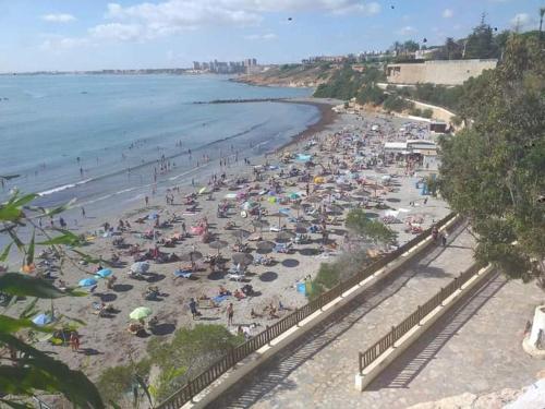 ImagenLa zenia apartment 1