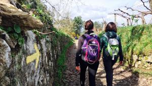 ImagenIdeas Peregrinas 3