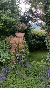 ImagenErrotazar apartamento K 4