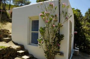 ImagenIbiza Yoga - The Cube Room 4