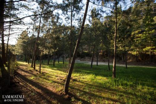 ImagenL'Amagatall de Cal Tonedor 1