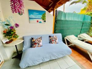 ImagenVicksol Holiday 5