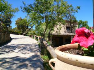 ImagenValdolázaro 5