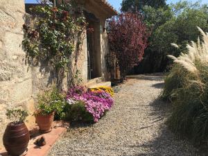 ImagenHotel Masia Can Vive 5