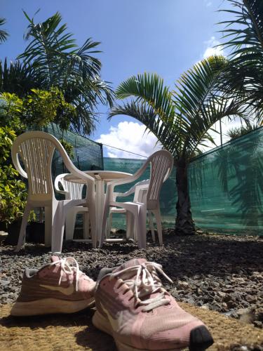 ImagenCamping Invernaderito 1