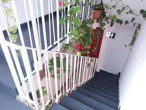 ImagenLa Casa de Vacaciones 3