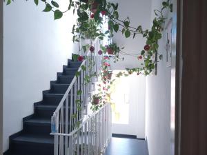 ImagenLa Casa de Vacaciones 4