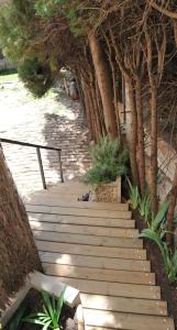 ImagenTibidabo Apartments 5