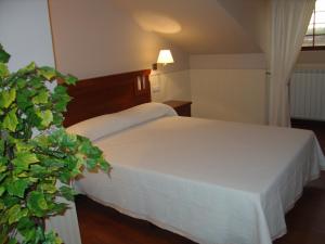 ImagenHospederia el Fielato 3