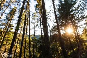 ImagenL'Amagatall de Cal Tonedor 3