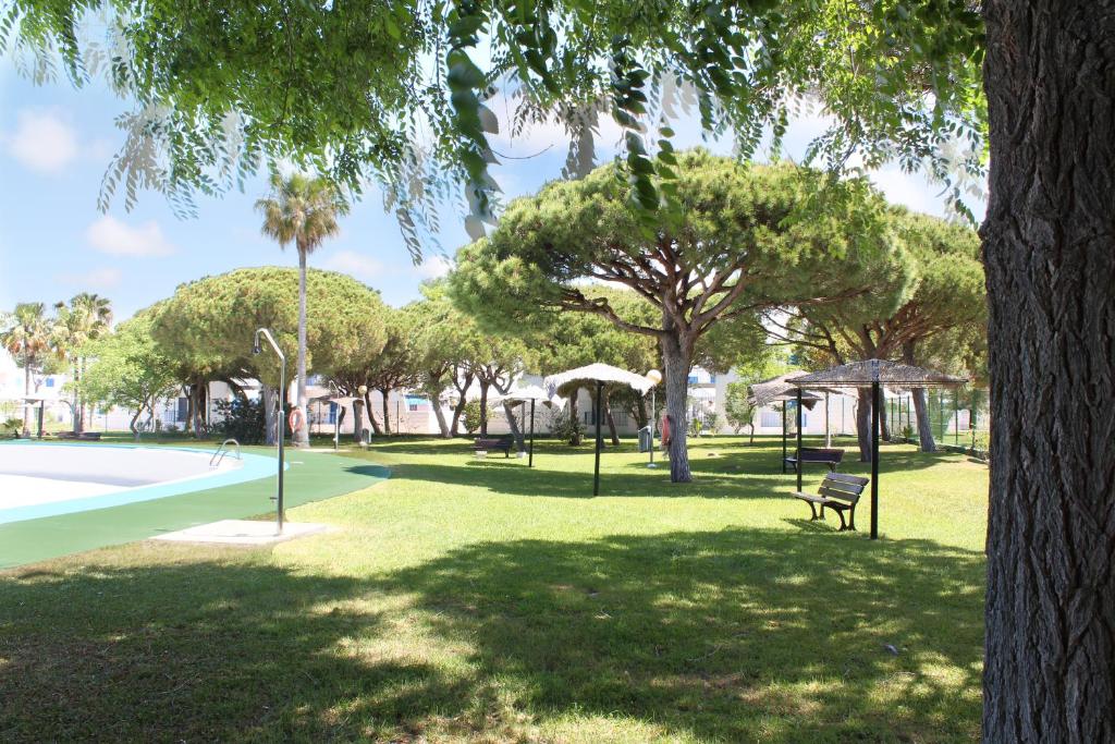 Apartamento Can Mayor - Apartelius - Chiclanaimagen principal