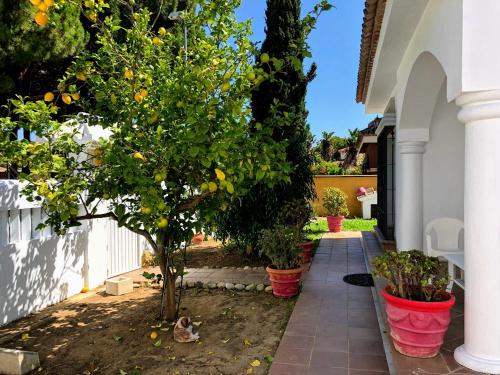 ImagenChalet Nervión cerca la Barrosa 2