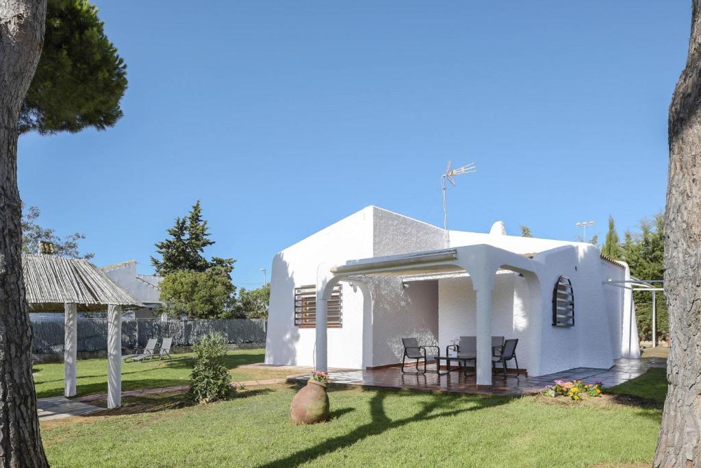 Spicaimagen principal