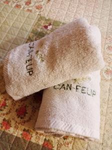 ImagenMasia Can Felip 3