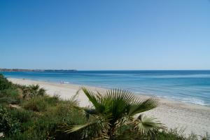 ImagenApartamentos Jessica Beach 4