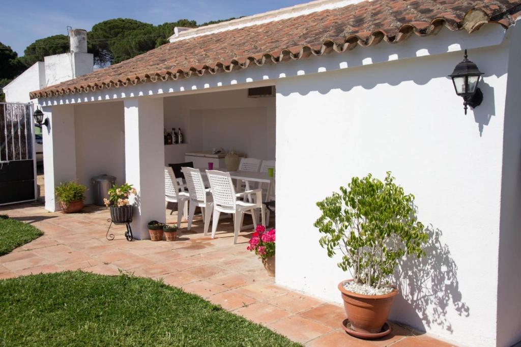 El Campoimagen principal