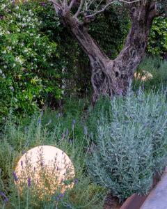 ImagenApartaments B-Llobet Sun & Confort 6