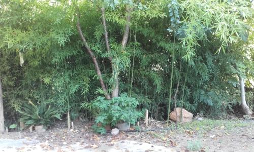 ImagenCasa Elina Lucena 2