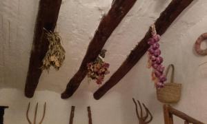 ImagenCasa Elina Lucena 5