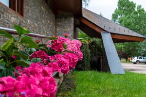 ImagenHotel Xalet del Golf 5