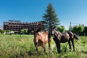 ImagenPuigcerda Park Hotel 3