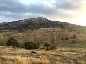 ImagenPiso la Fuente 5