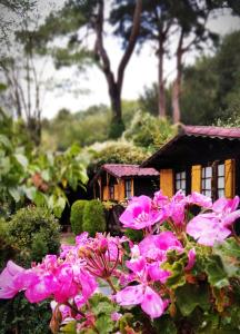 ImagenLa Posada Cercedilla 4