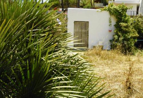 ImagenIbiza Yoga - The Cube Room 2