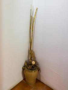 ImagenLa Casa de los Soportales 4