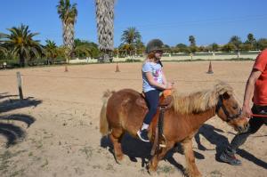 ImagenEl Rancho Los Montesinos - Torrevieja 6