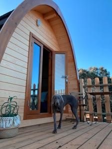 ImagenCork Valley :: Pod House Toledo 5