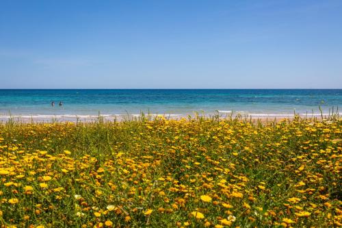 ImagenFidalsa Copa Cabana Seashore 1