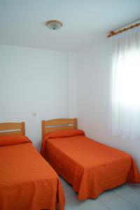 ImagenPalmera Beach 5