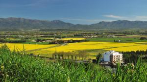 ImagenHotel Emporda 6